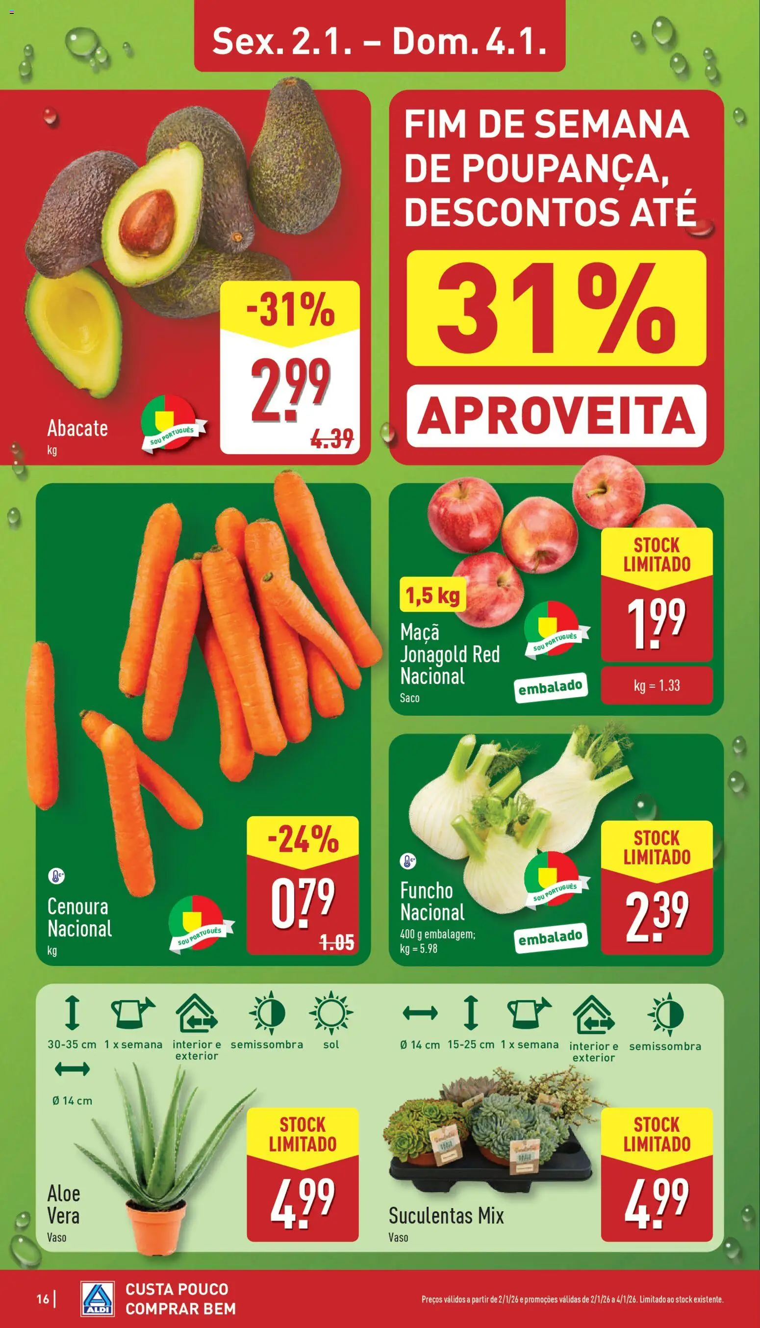Aldi folheto │ válido de 29.12.2025 | Página: 16 | Produtos: Maça, Vaso, Abacate, Cenoura