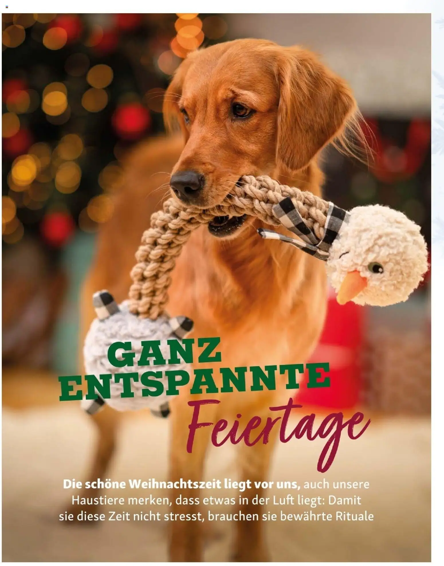 Fressnapf Friends 06/25 gültig ab 01.11.2025 | Seite: 16