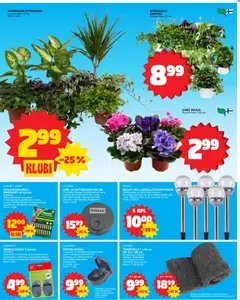  | Sivu: 19 | Tuotteet: Voi, Hiiri, Hiirenloukku