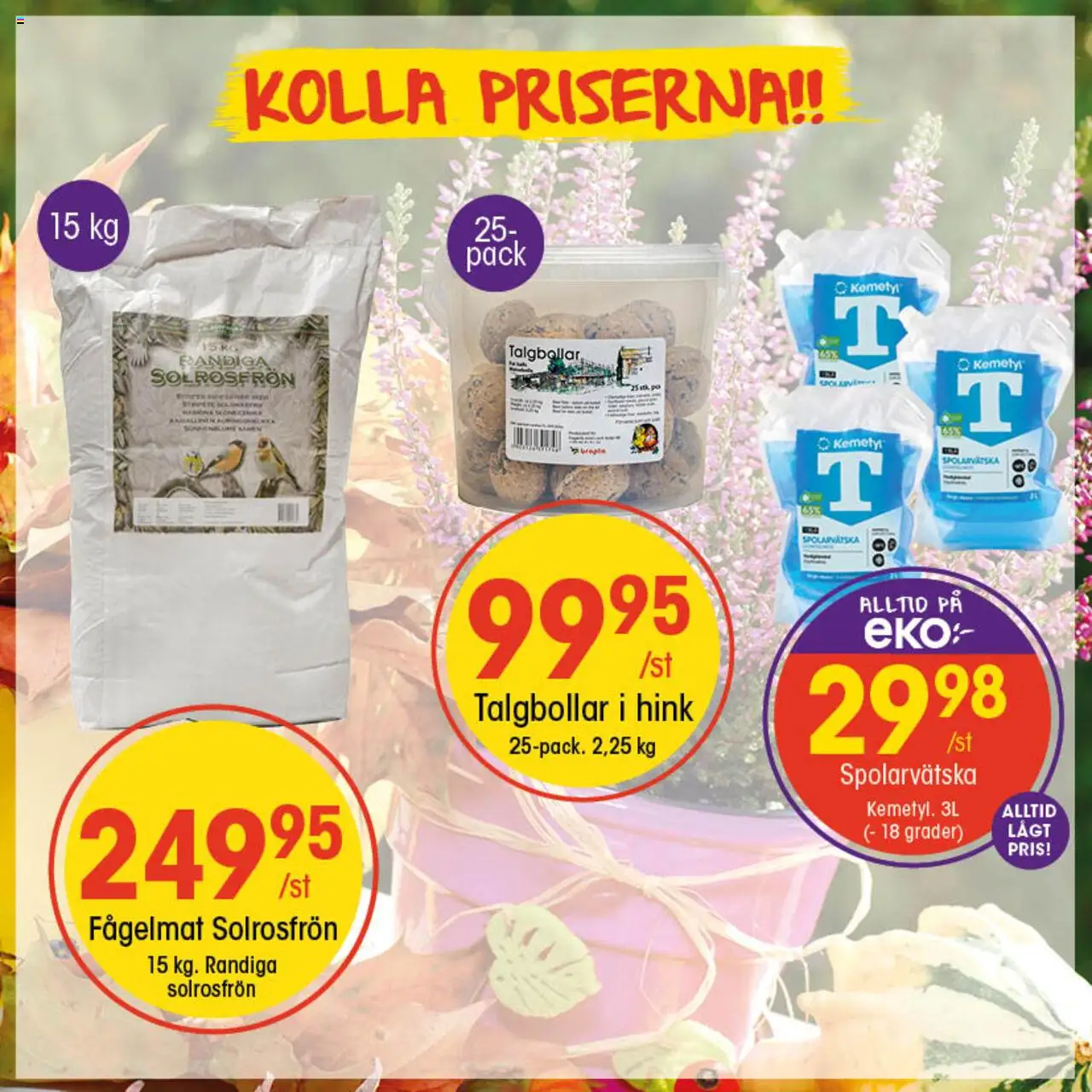 EKO reklamblad aktuell från 22.09.2025 | Sida: 2 | Produkter: Fågelmat, Hink, Spolarvätska
