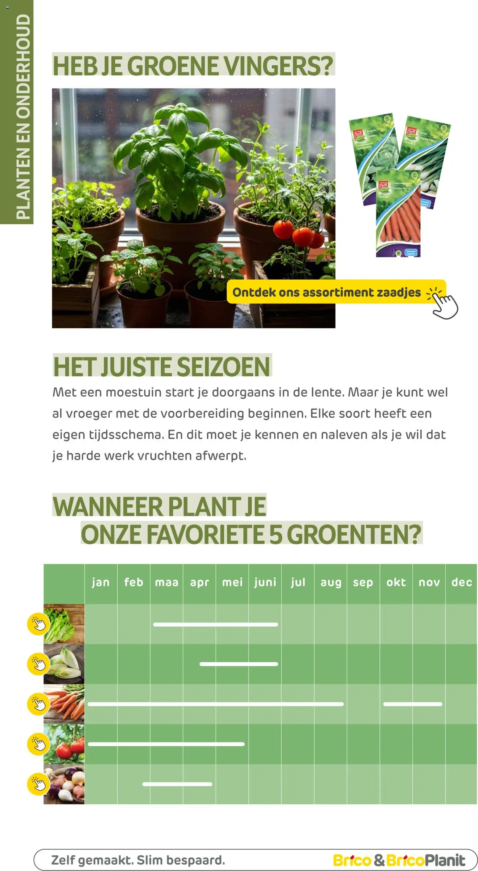 {H1} | Pagina: 137 | Producten: Groenten