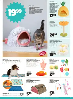 Tokmanni-mainoslehti voimassa 02.04.2026 alkaen | Sivu: 91 | Tuotteet: Vesimeloni