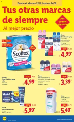 Lidl catálogo MAD │ válido desde el 18.08.2025 | Página: 38