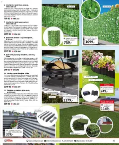 Náhled letáku Velký Košík katalog březen 2026 od 01.03.2026 | Strana: 43