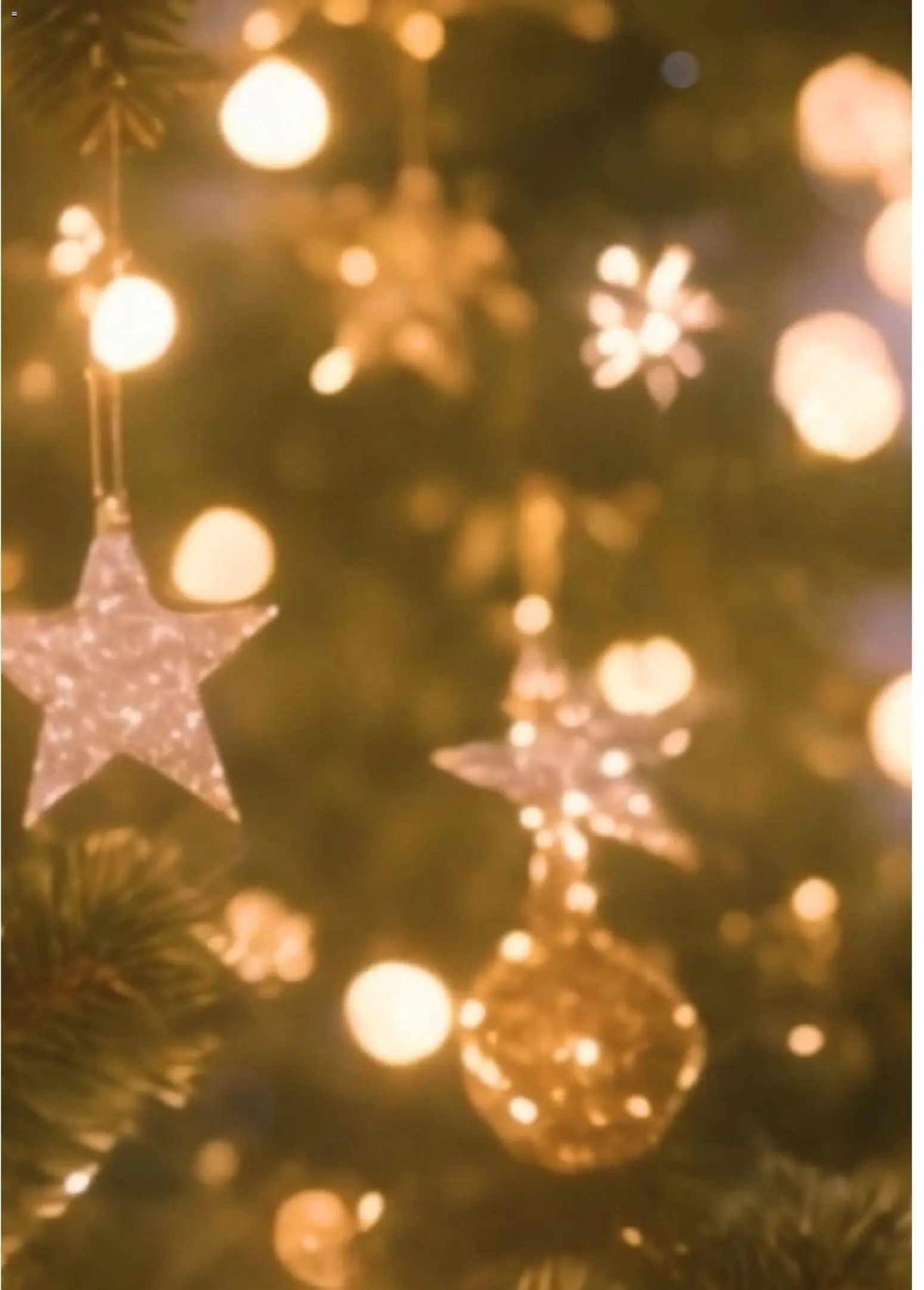 Bauhaus - Navidad 2025 │ válido desde el 05.11.2025 | Página: 48