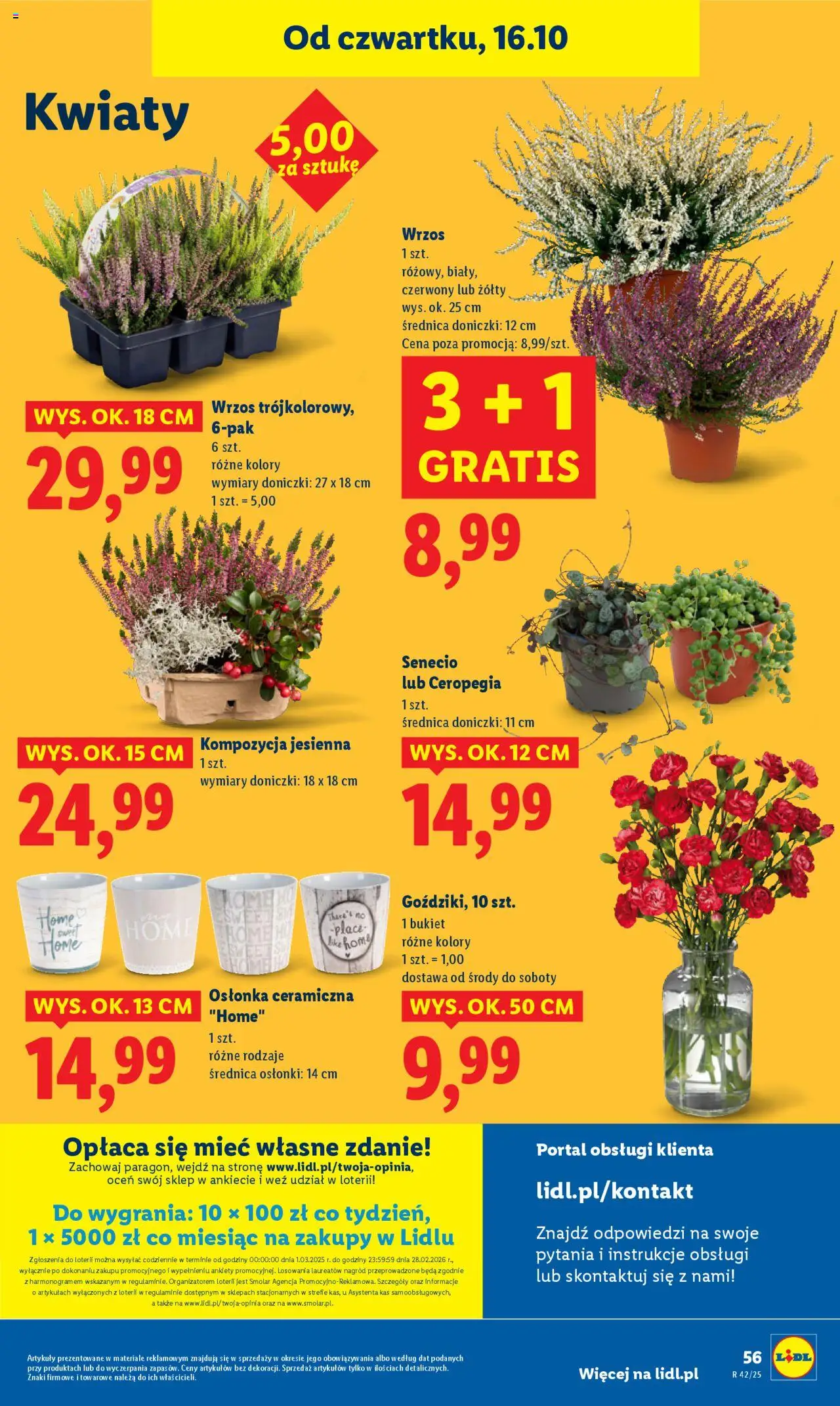 Lidl Gazetka od 16.10.2025 | Strona: 60 | Produkty: Wrzos, Doniczki, Kwiaty