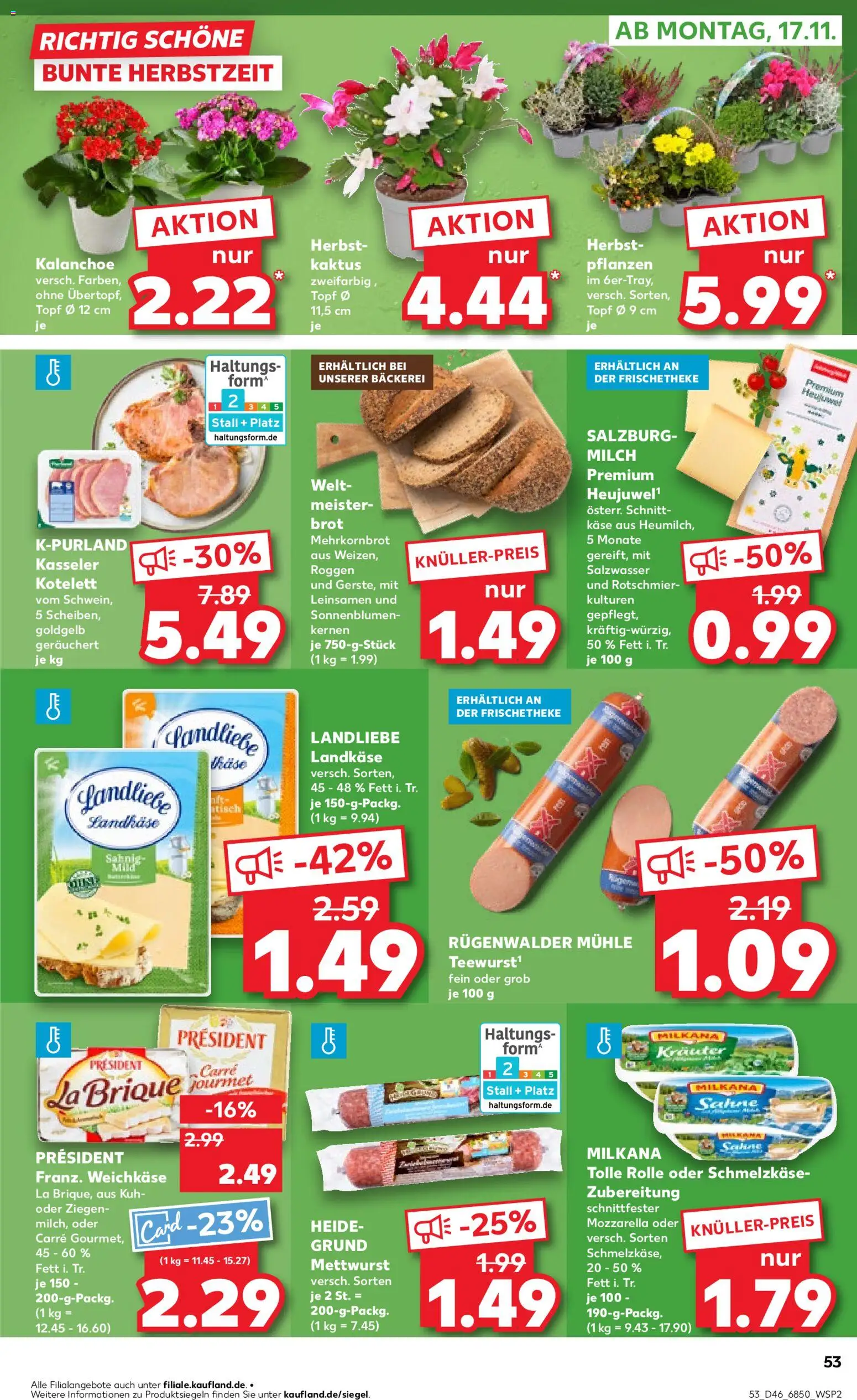 Kaufland prospekt Stuttgart	 – gültig ab 13.11.2025 | Seite: 53 | Produkte: Mühle, Milkana, Tisch, Mozzarella