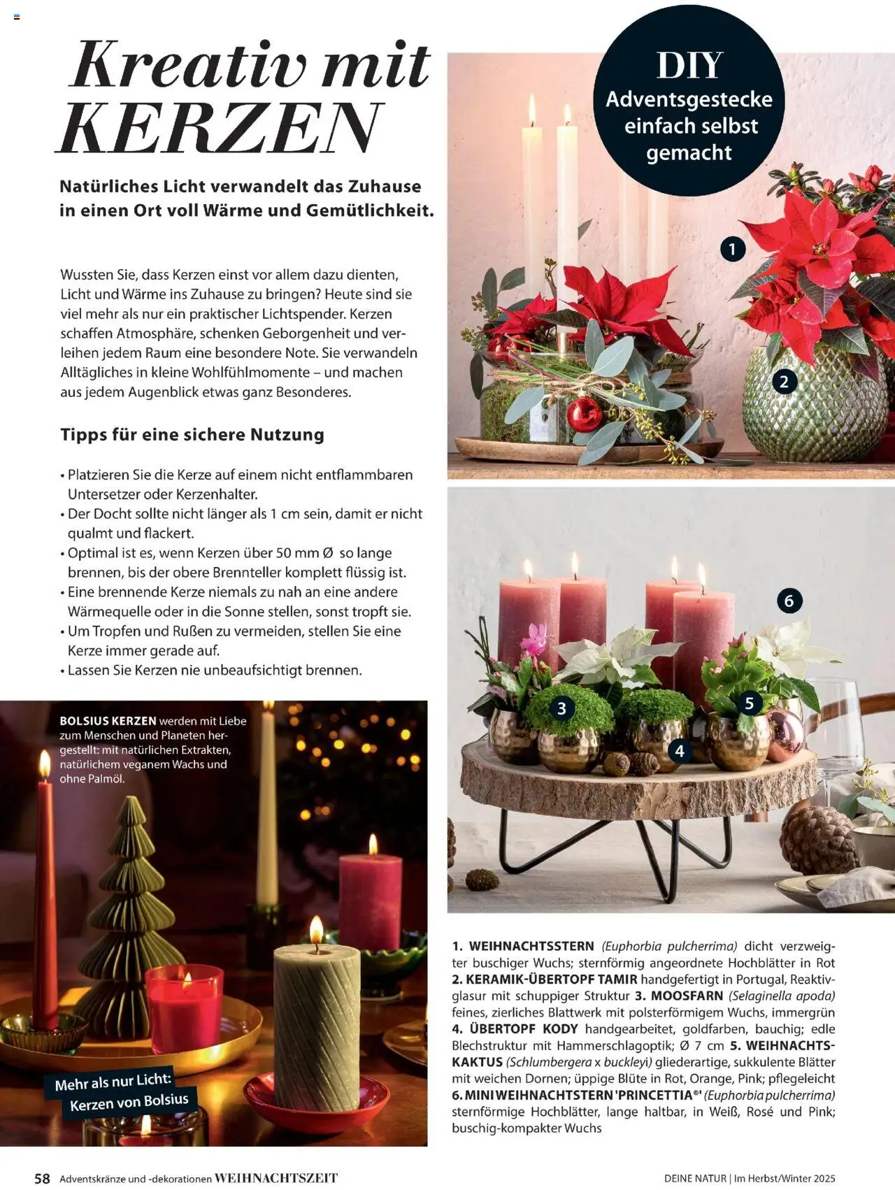 Dehner Prospekt Deine Natur – gültig ab 09.10.2025 | Seite: 58