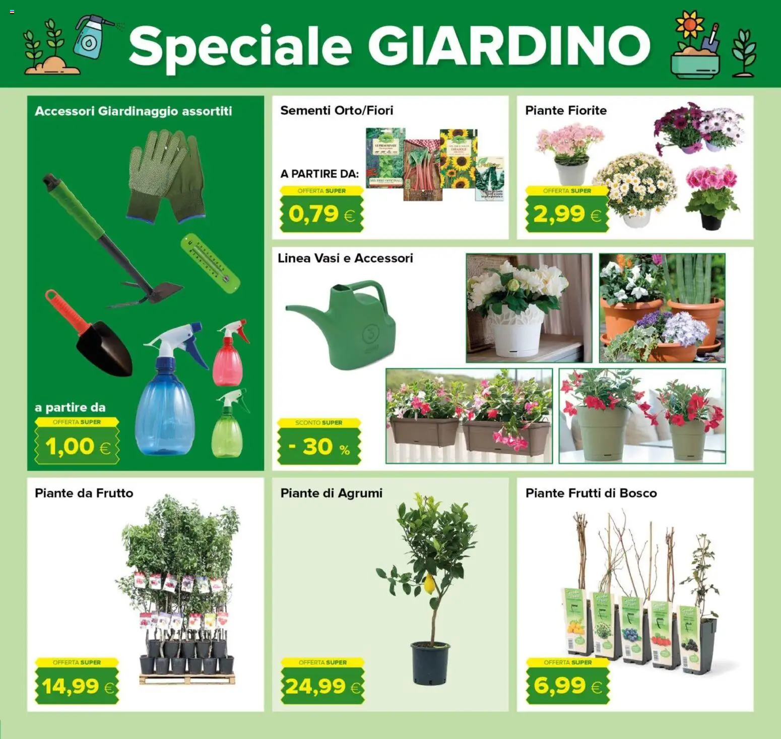 Volantino Oasi del 12.03.2026 | Pagina: 21 | Prodotti: Agrumi