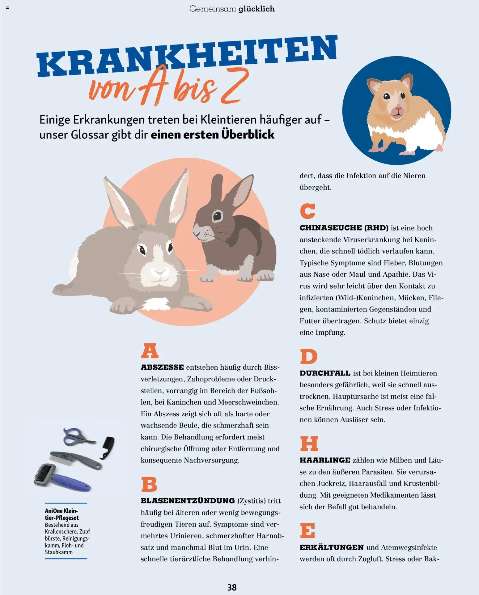 Fressnapf Friends Magazin | 02.03.2026 | Wie erhält man einen begrenzten Rabatt? | Deutschland