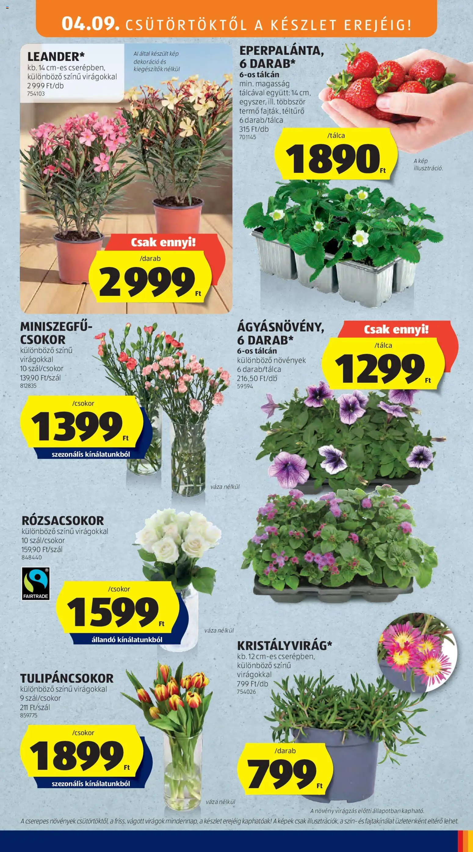 Aldi akciós ujság - amely érvényes a következő dátumtól: 09.04.2026 | Oldal: 31 | Termékek: Virágok, Váza, Dekoráció