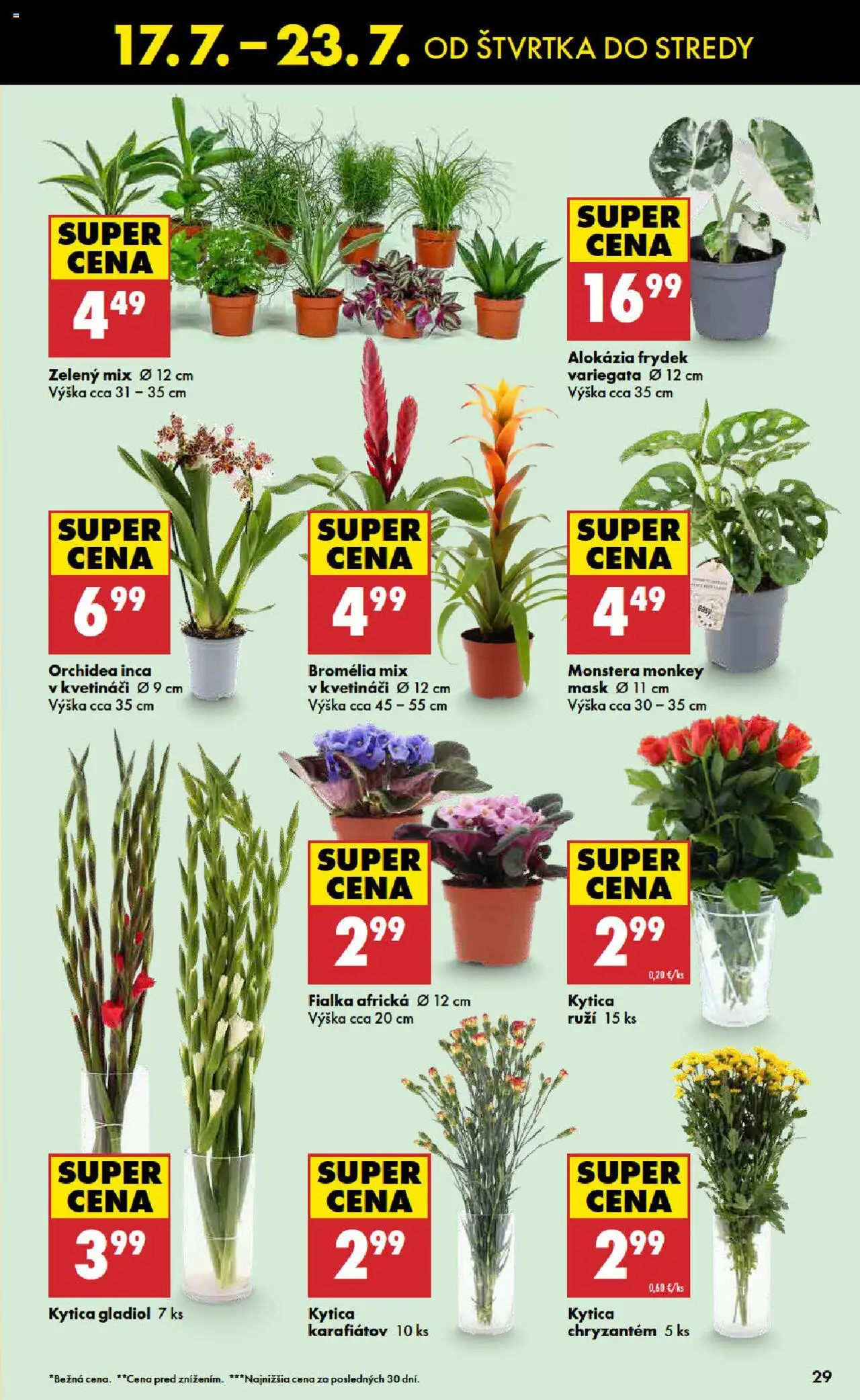 Biedronka leták │ platný od 17.07.2025 | Strana: 29 | Produkty: Orchidea