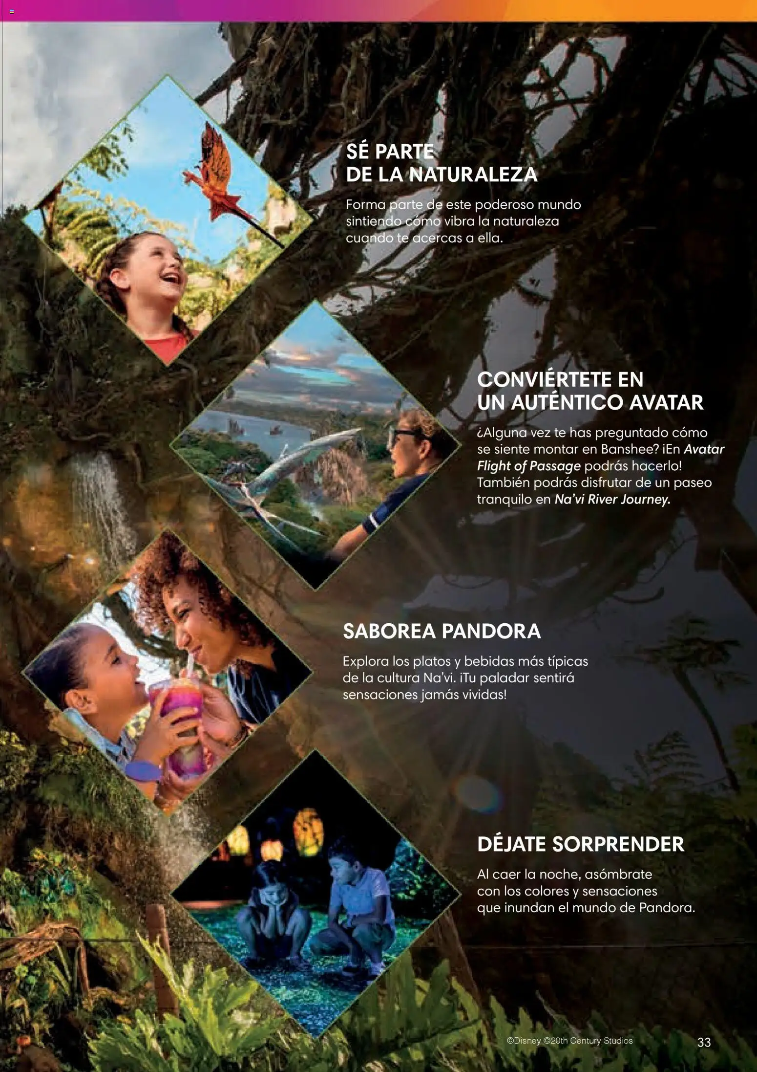 Viajes El Corte Inglés Folleto Walt Disney World │ válido desde el 03.12.2025 | Página: 33 | Productos: Té