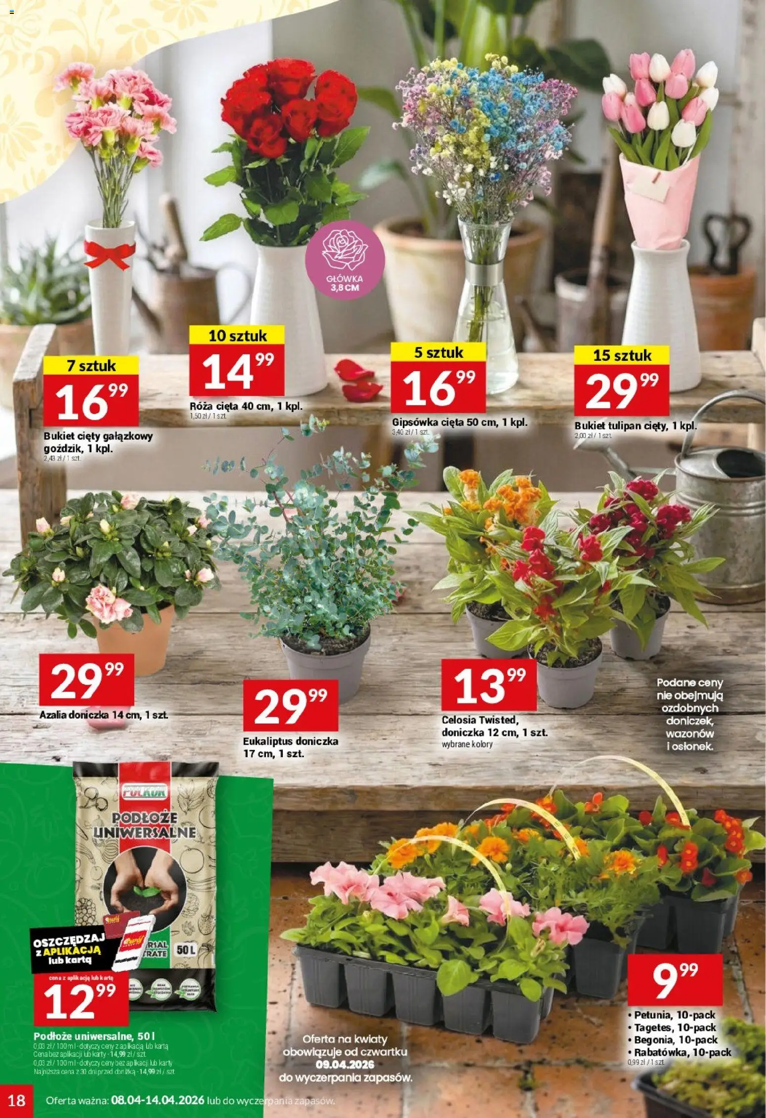 Twój Market gazetka od 08.04.2026 | Strona: 18 | Produkty: Karta, Azalia, Doniczka, Kwiaty