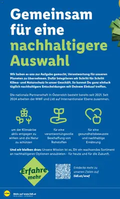 Lidl Flugblatt gültig ab 14.08.2025 | Seite: 12