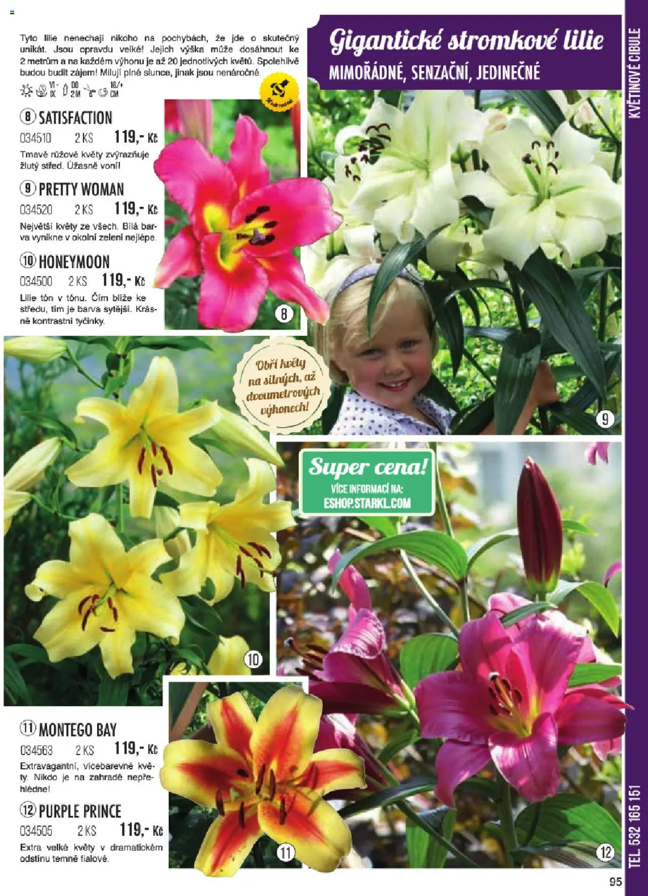 Starkl katalog jaro 2024 od 06.01.2025 | Strana: 95 | Produkty: Cibule