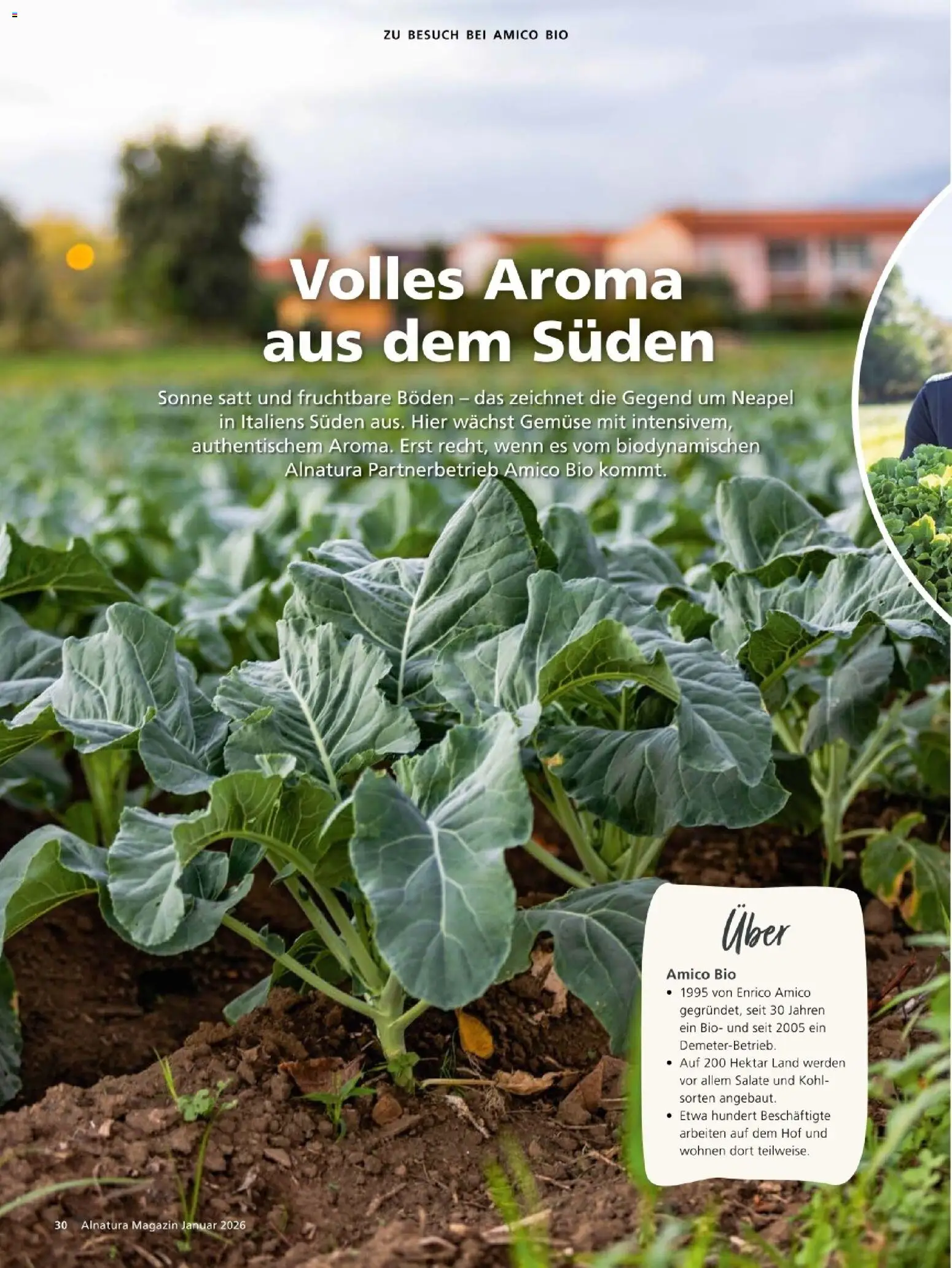 Alnatura Prospekt – gültig ab 01.01.2026 | Seite: 30 | Produkte: Gemüse