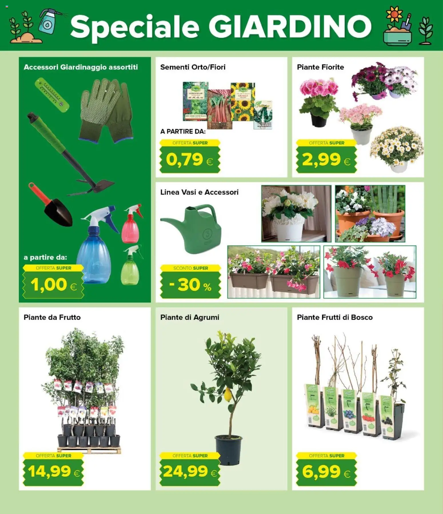 Volantino Oasi del 12.03.2026 | Pagina: 28 | Prodotti: Agrumi