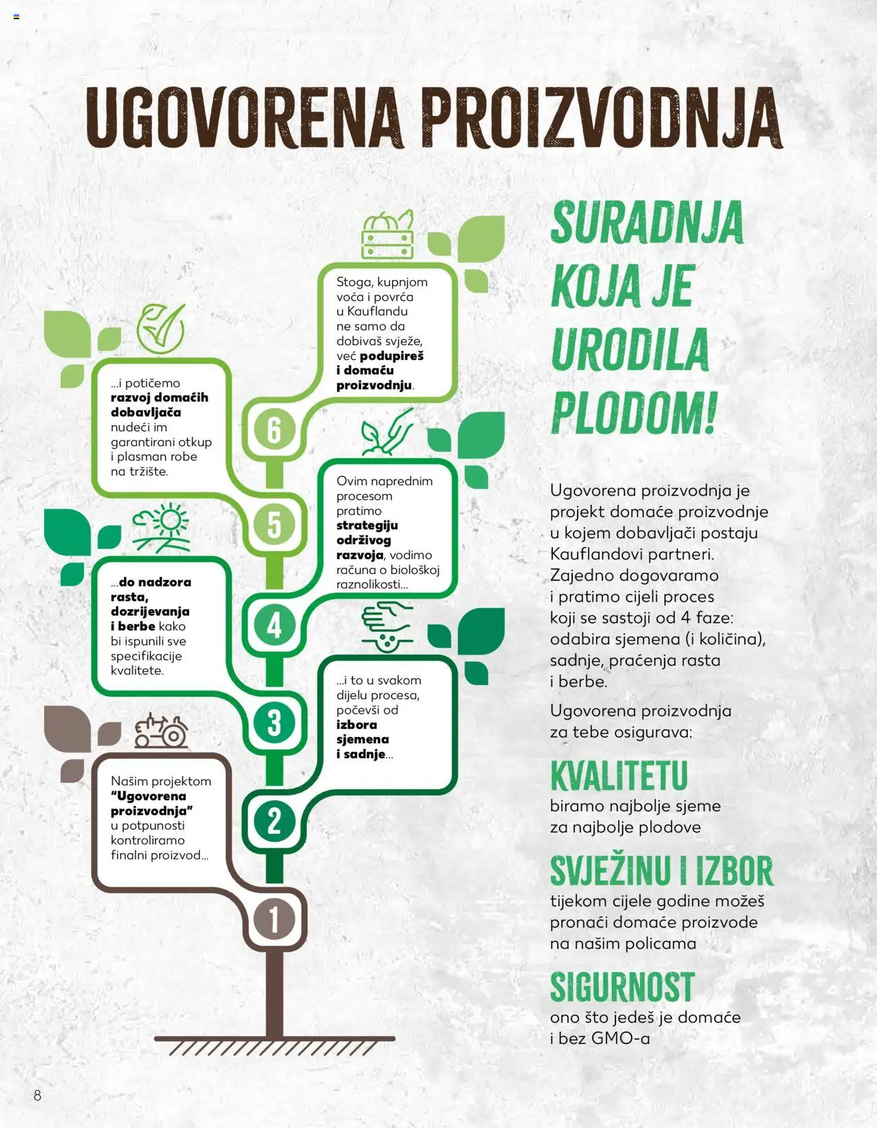Kaufland katalog | vrijedi od 23.01.2024 | Stranica: 8