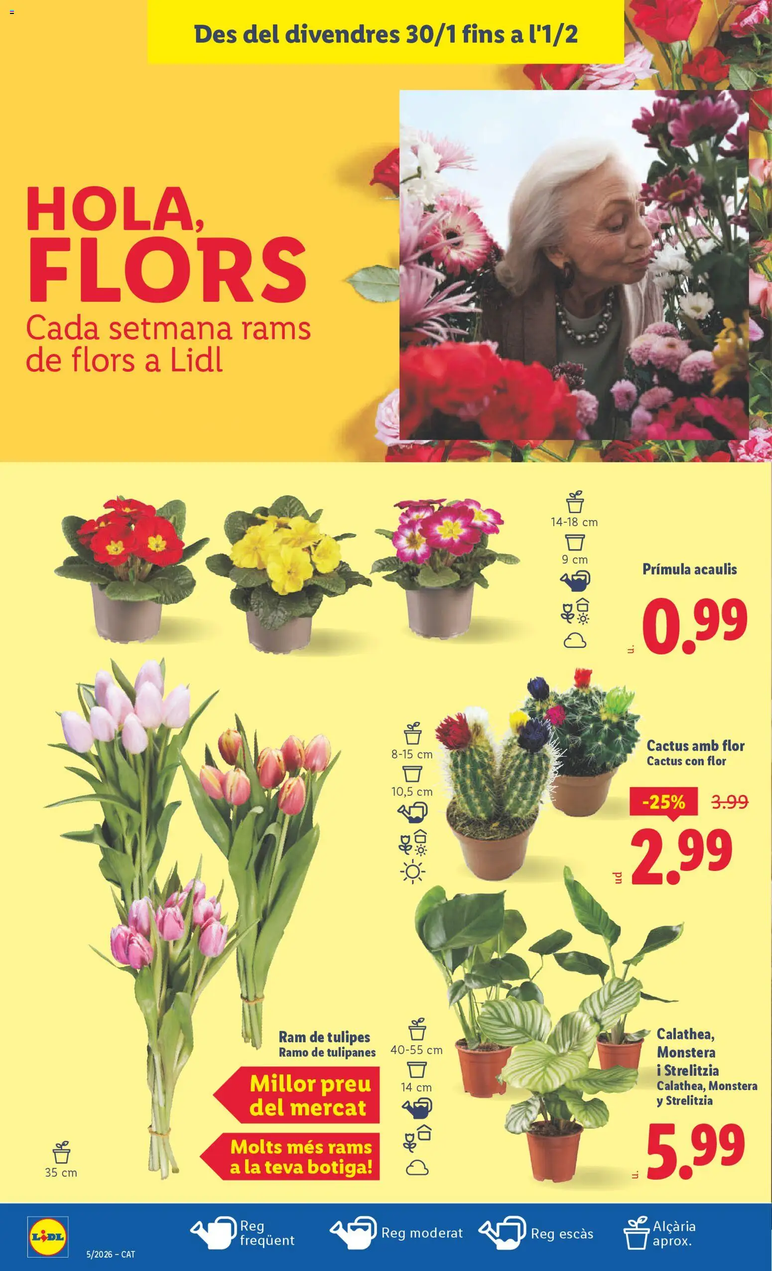 Lidl folleto │ válido desde el 26.01.2026 | Página: 40