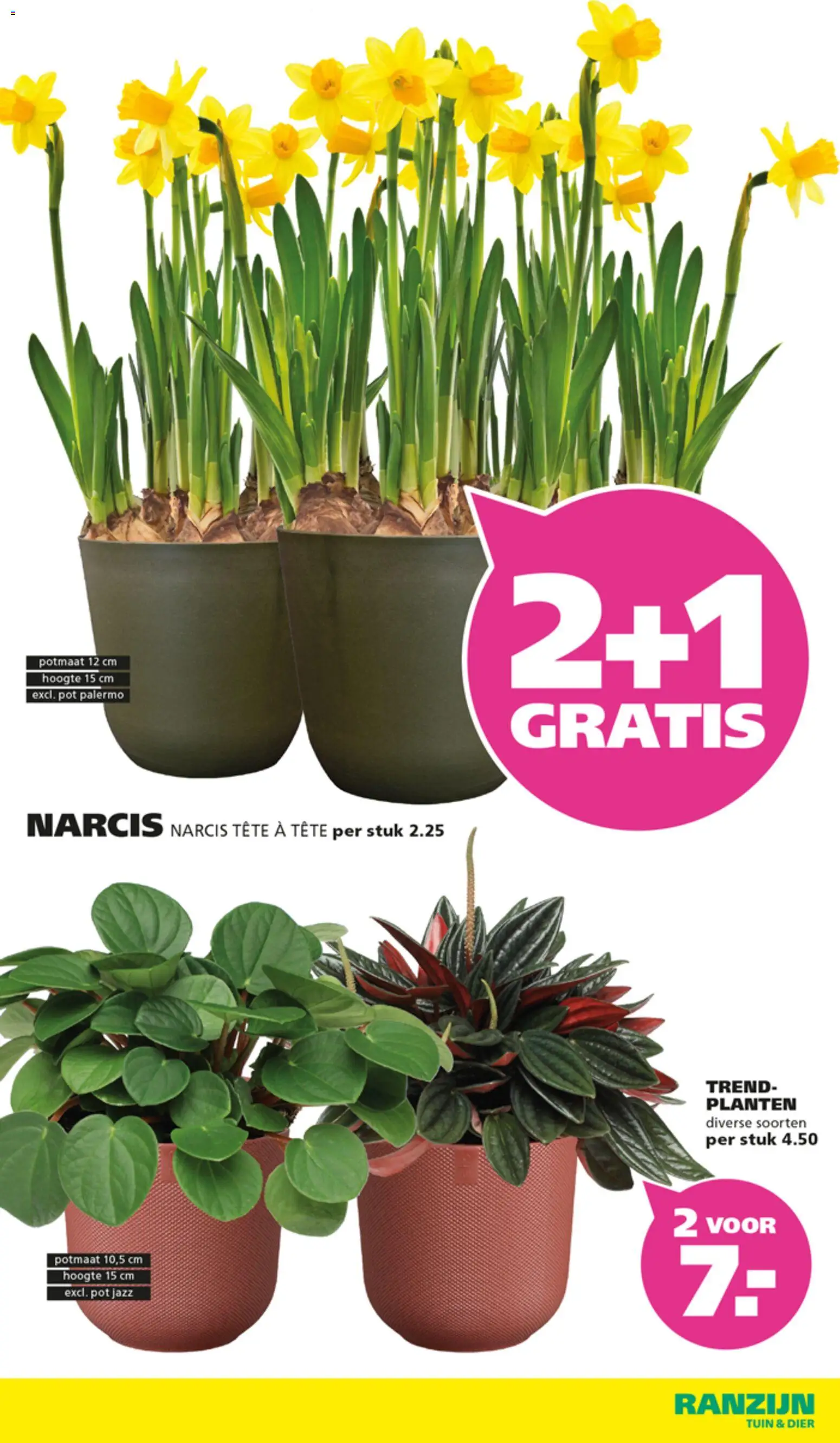 {H1} | Pagina: 9 | Producten: Pot