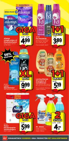 Vomar - Folder - Voorbeeld van een folder van Vomar, geldig van 04.01.2026 | Pagina: 10 | Producten: Keukenpapier, Shampoo, Conditioner