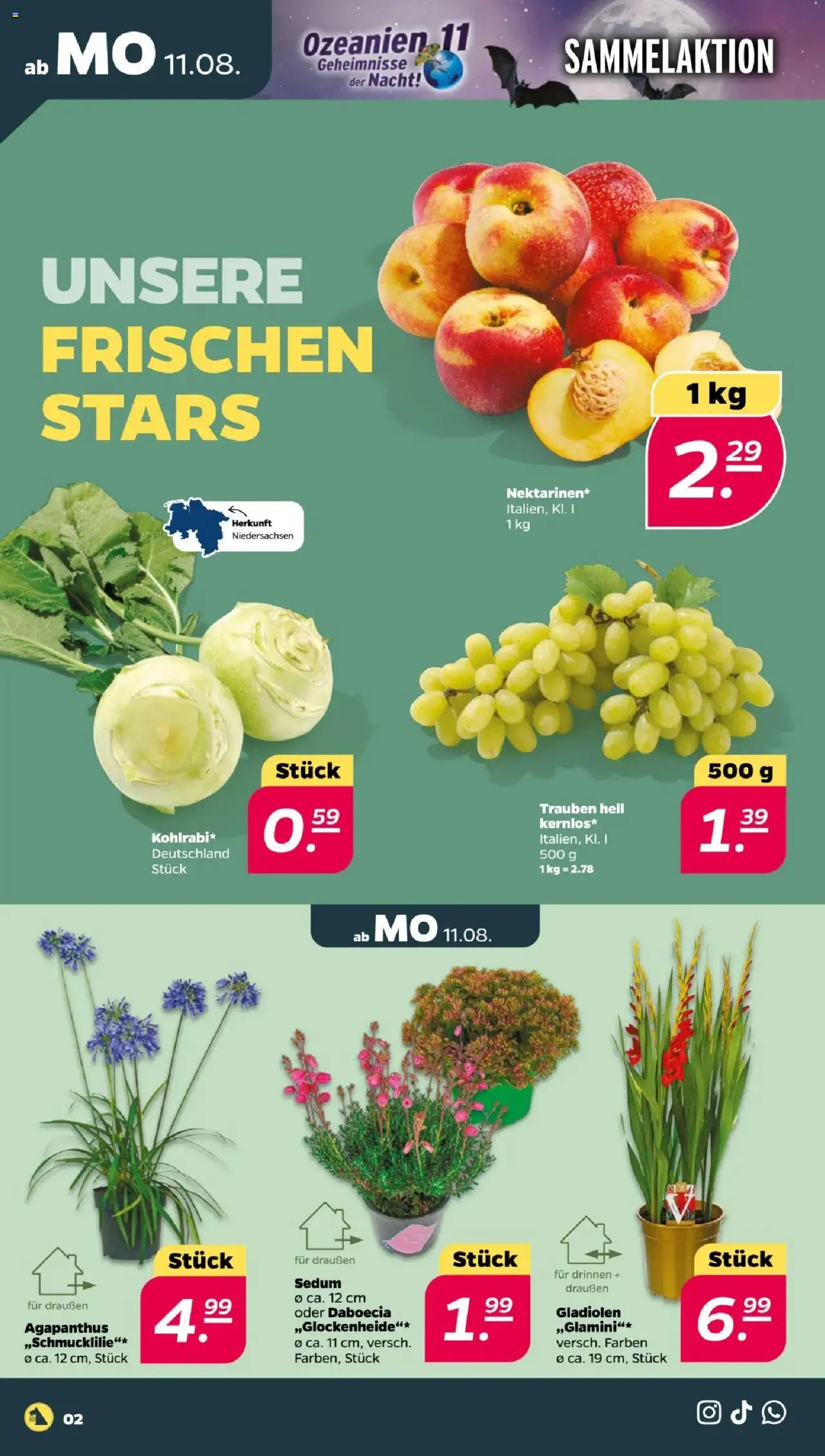 Netto Prospekt 	 - gültig ab dem 11.08.2025 | Seite: 2 | Produkte: Trauben