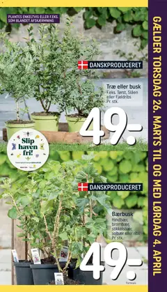 Rema 1000 - Tilbudsavis uge 13 gyldig fra 22.03.2026 | Side: 27 | Produkter: Ribs, Solbær, Søm