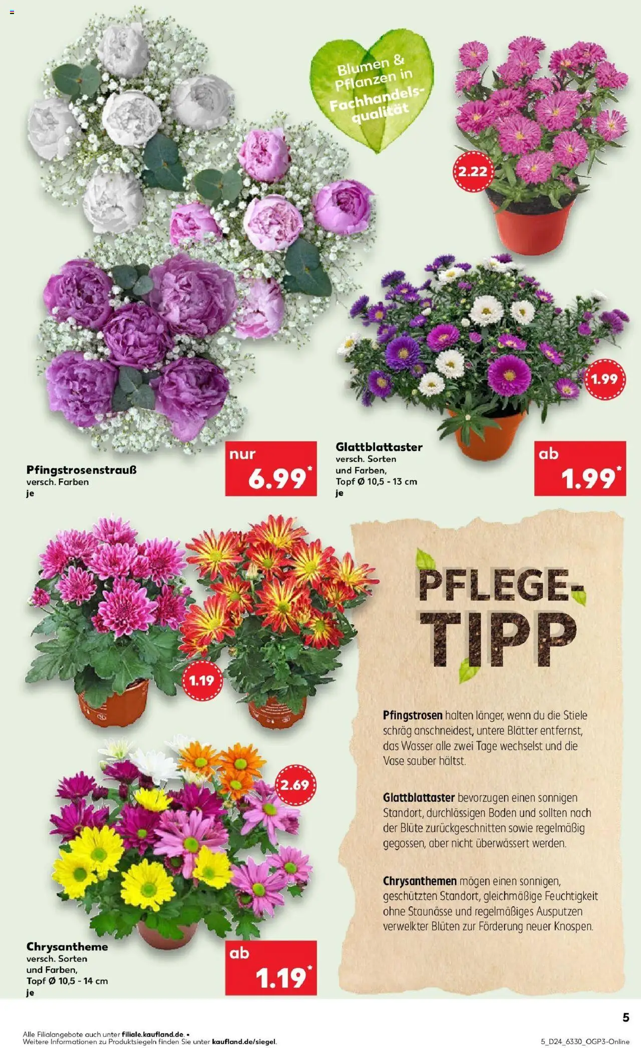 Kaufland prospekt Stadthagen	 - gültig ab dem 16.06.2025 | Seite: 20 | Produkte: Blumen, Vase, Wasser