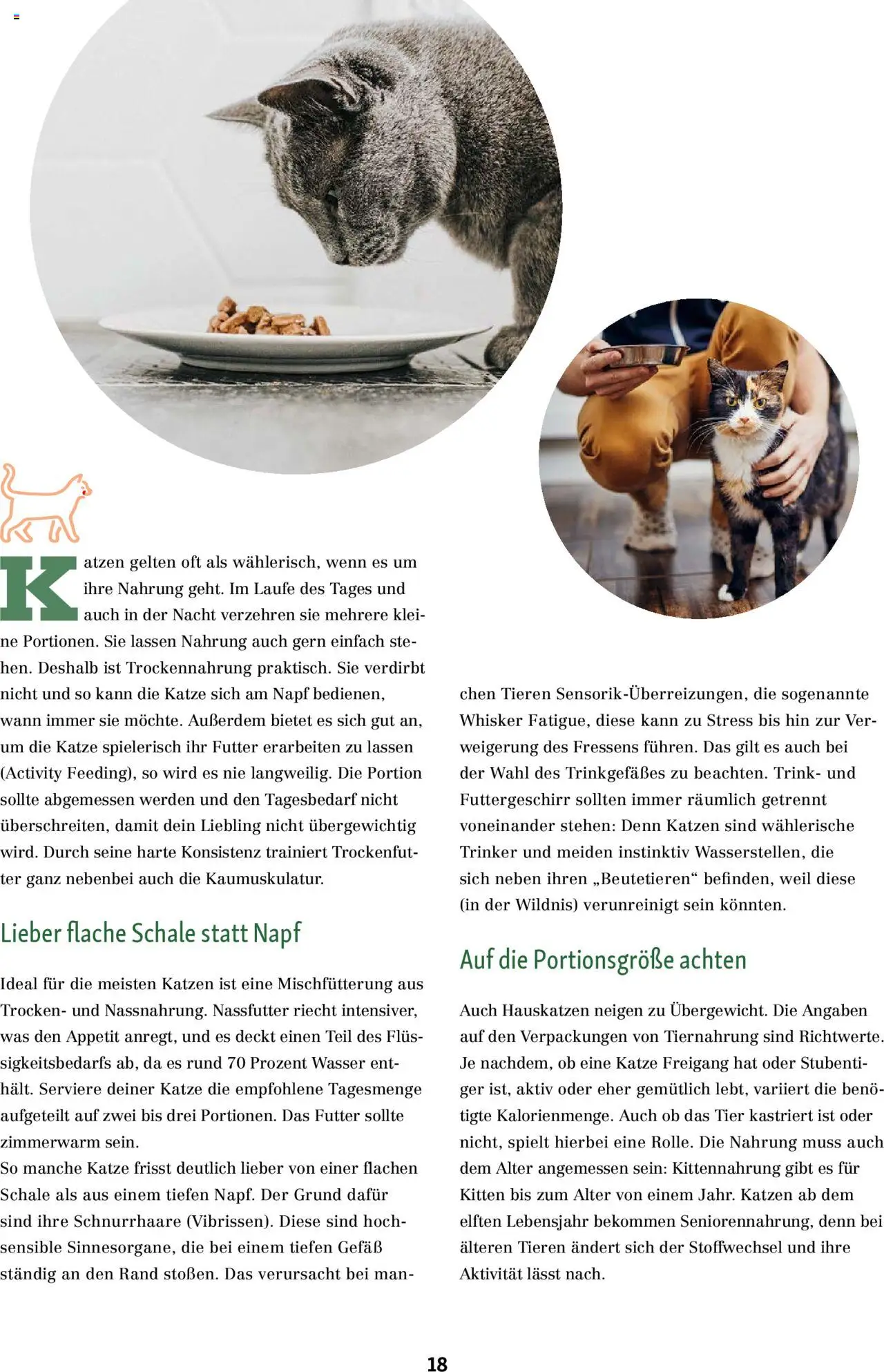 Fressnapf Friends Magazin – gültig ab 01.09.2025 | Seite: 18 | Produkte: Wasser