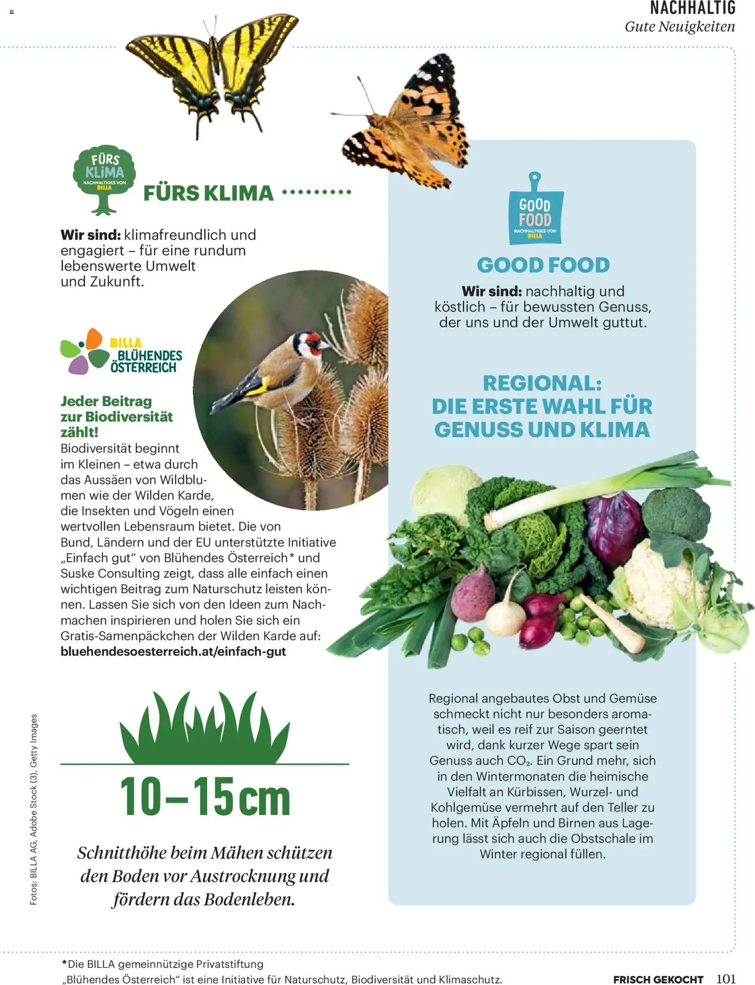 Billa  Frisch Gekocht gültig ab 01.11.2025 | Seite: 97 | Produkte: Gemüse, Obst