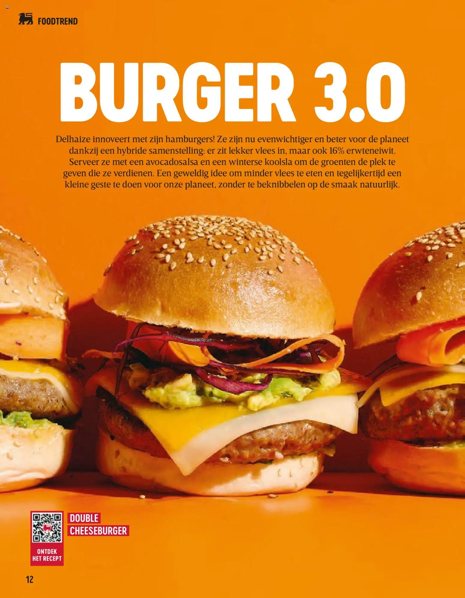 {H1} | Pagina: 12 | Producten: Cheeseburger, Sós kalács, Koolsla, Groenten