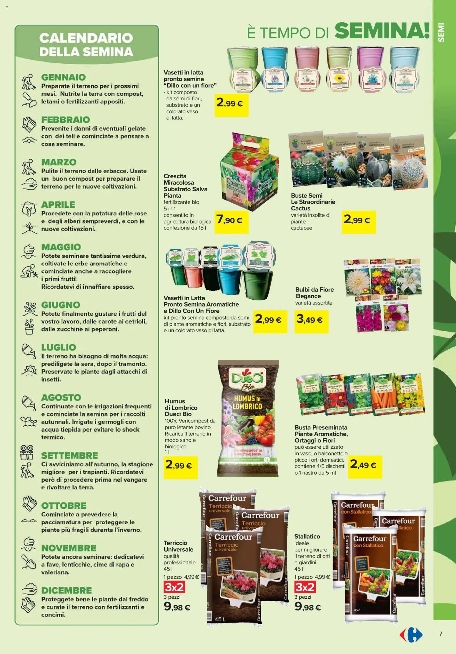 Volantino Carrefour del 19.02.2026 | Pagina: 7 | Prodotti: Bovino, Cactus, Terriccio, Vaso