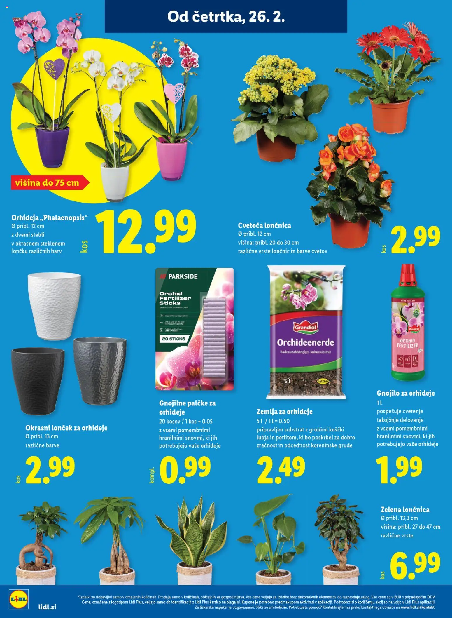 Novi Lidl katalog ponudbe – veljaven od 26.02.2026 | Stran: 22 | Izdelki: Žemlja, Kos, Okrasni loncek, Zelena