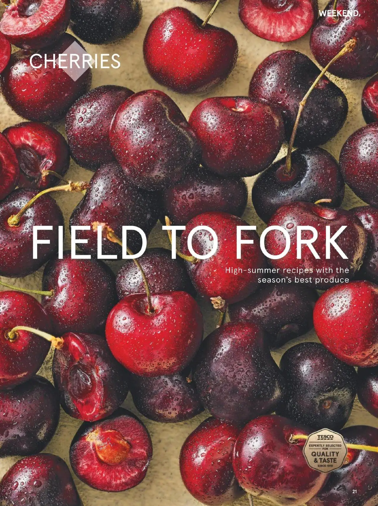  | Page: 21 | Products: Fork