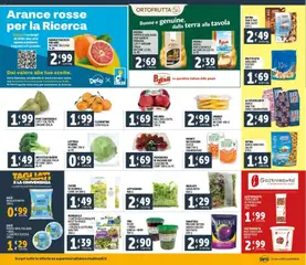 Anteprima del volantino Decò MaxiStore - Roma catalogo valido a partire dal 30.01.2026 | Pagina: 8 | Prodotti: Arance, Insalata, Patate, Noci