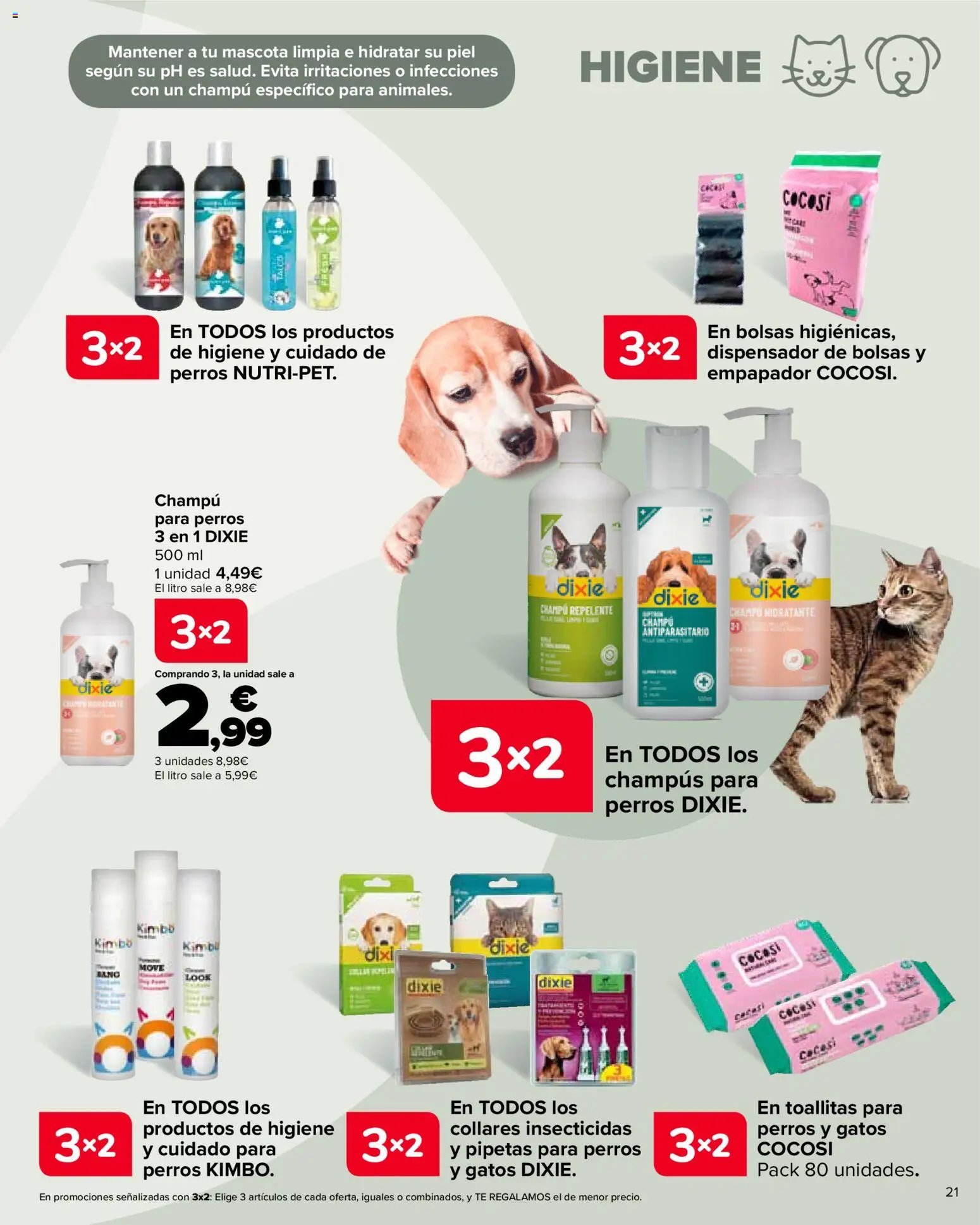 Carrefour folleto │ válido desde el 28.10.2025 | Página: 21 | Productos: Champú, Té, Dispensador