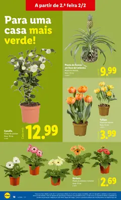 Pré-visualização Lidl Novidades válido de 02.02.2026 | Página: 18