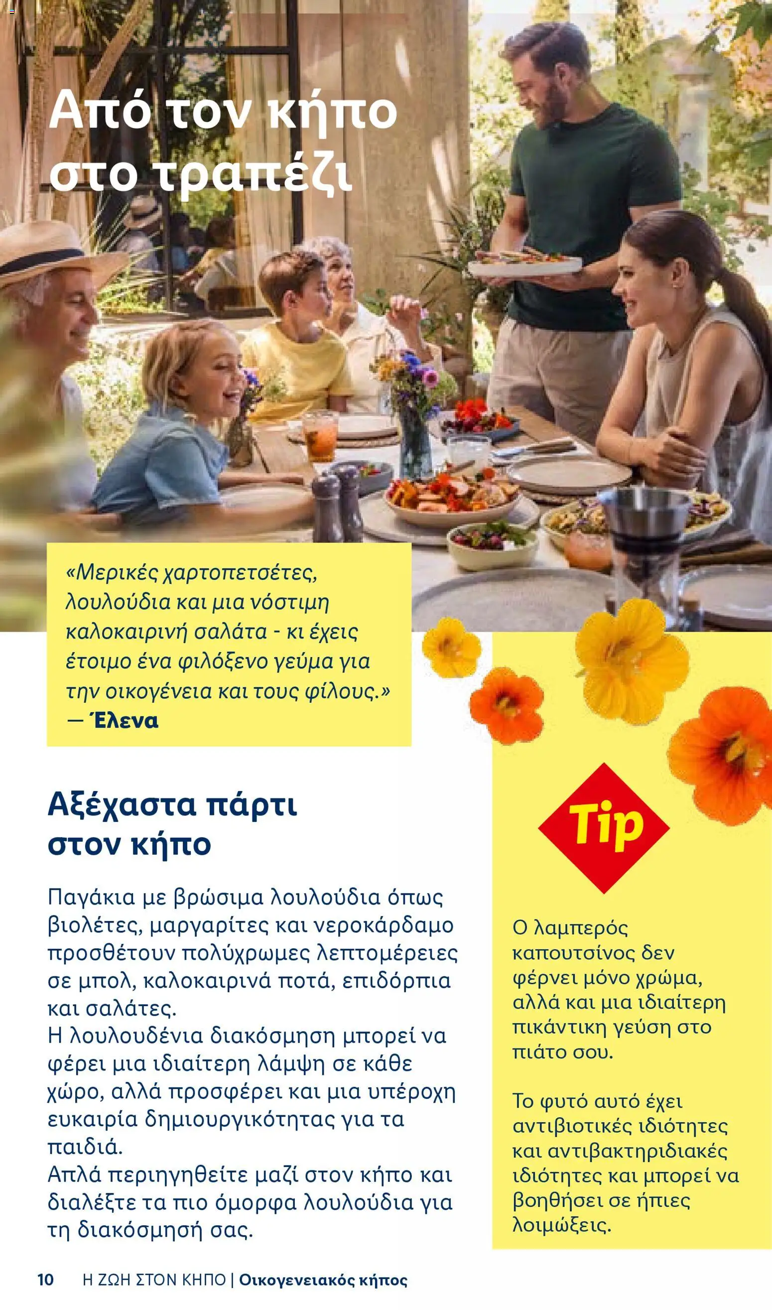 Lidl φυλλαδιο - Garden  – σε ισχύ από 16.04.2026 | Σελίδα: 10