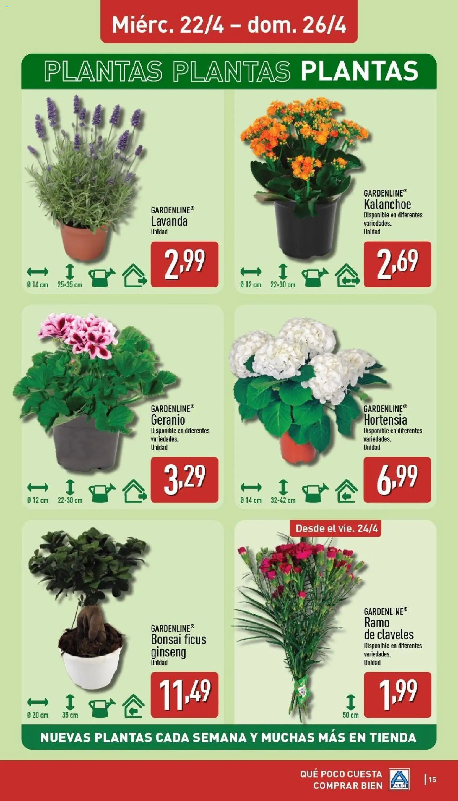 Aldi folleto Península │ válido desde el 20.04.2026 | Página: 15