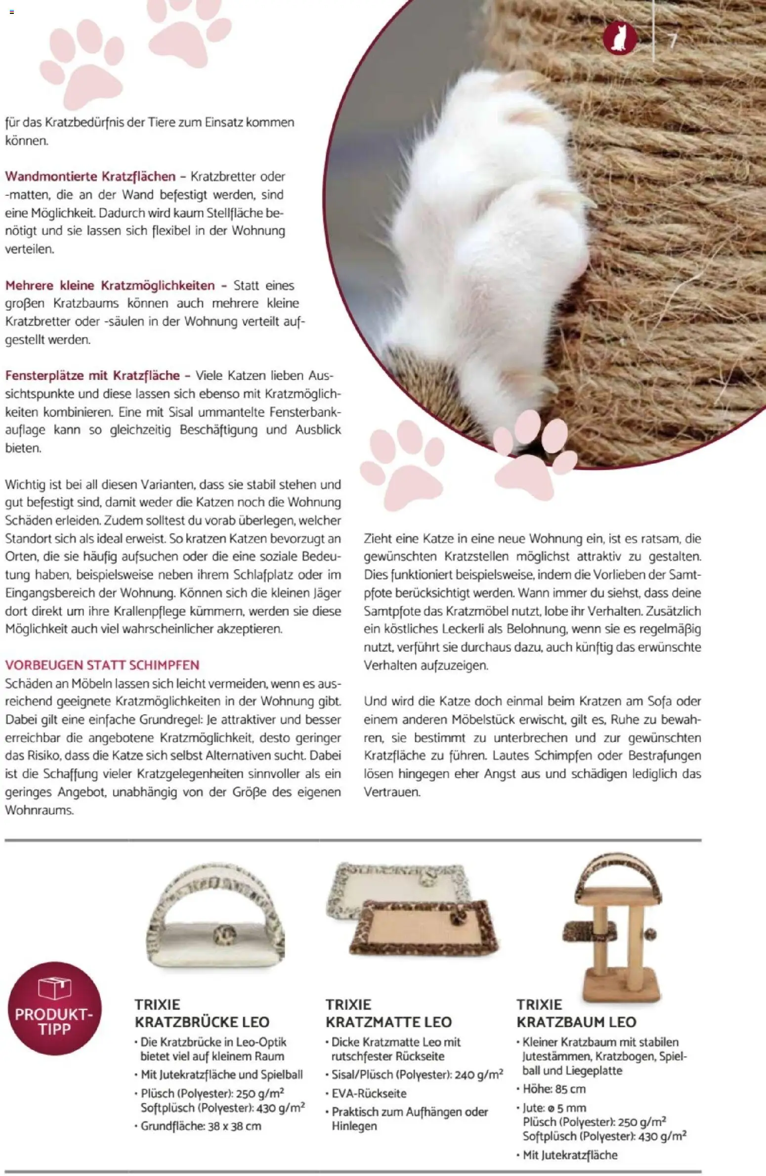 zookauf  Heimtier Journal – gültig ab 01.02.2026 | Seite: 7 | Produkte: Spiel, Sofa