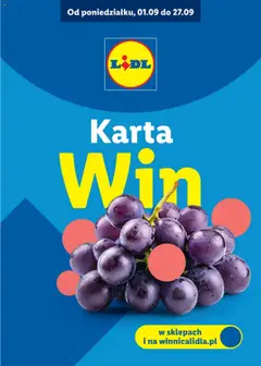 Pogląd oferty "Lidl Katalog karta win" - ważna od 01.09.2025