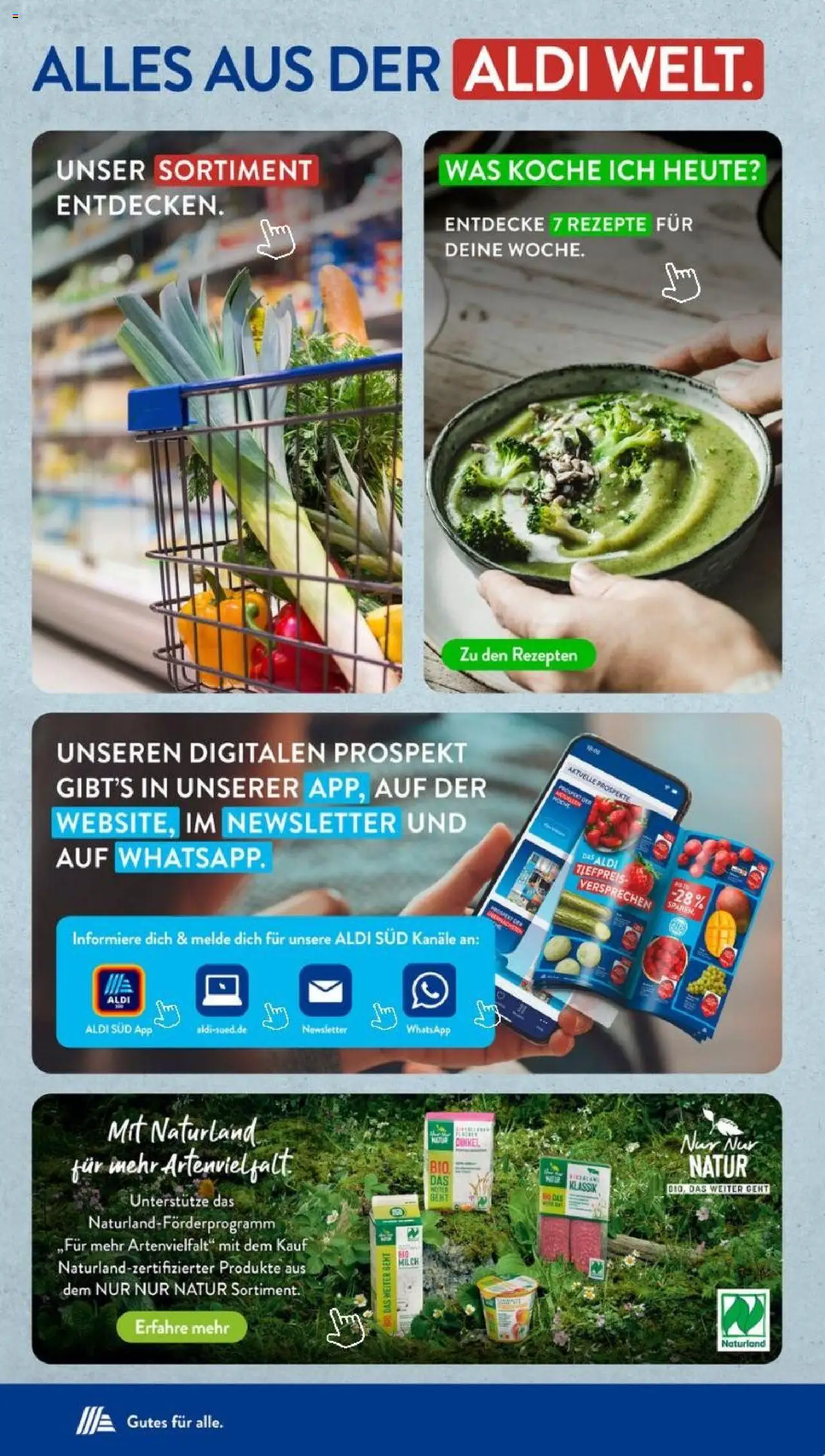 Aldi Süd Prospekt 	 - gültig ab dem 25.08.2025 | Seite: 33 | Produkte: Milch