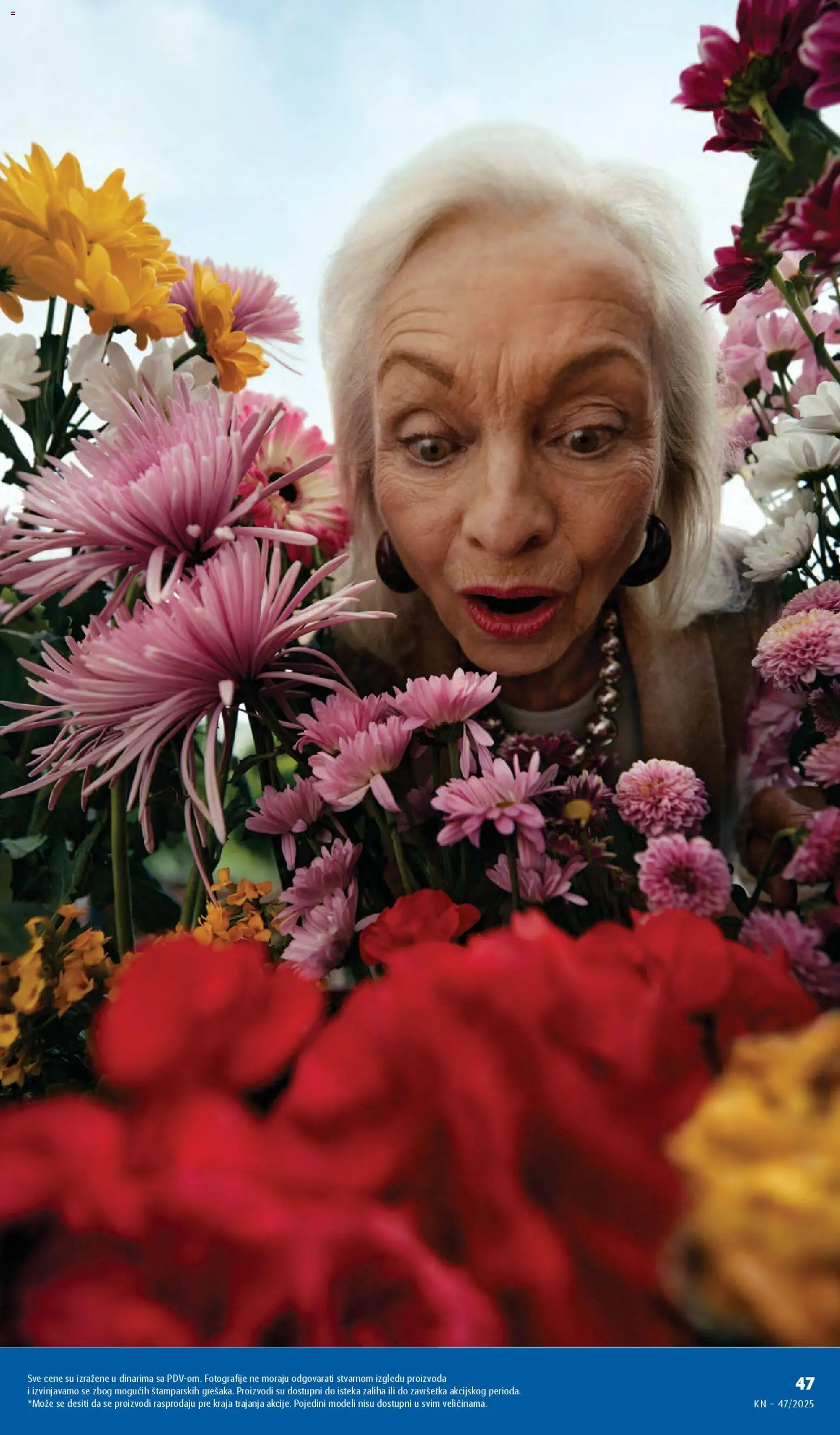 Lidl katalog - važi od 20.11.2025 | Strana: 49 | Proizvode: Cvece