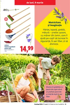 Ofertele Lidl valabile de la 19.02.2026 | Pagină: 43 | Produse: Mătură, Mâner