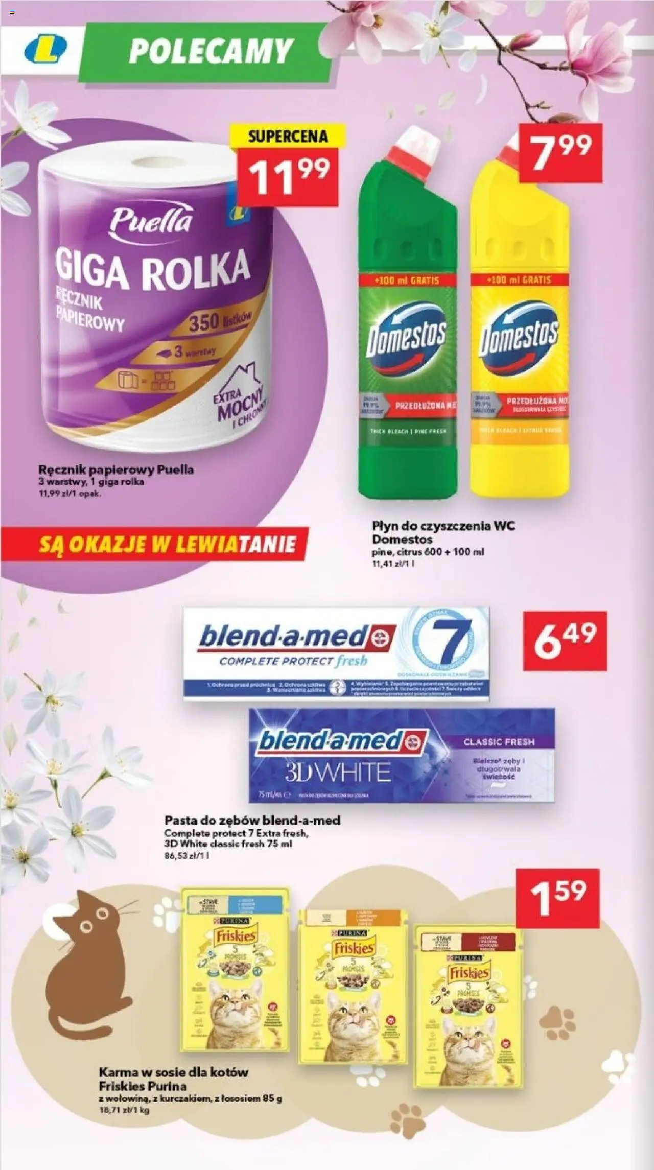 Lewiatan gazetka - Lublin od 23.10.2025 | Strona: 13 | Produkty: Domestos, Pasta do zębów, Ręcznik papierowy