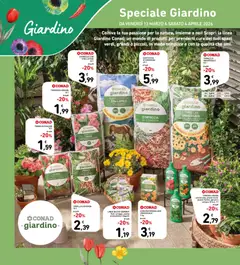 Anteprima del volantino Spazio Conad volantino valido a partire dal 13.03.2026 | Pagina: 28 | Prodotti: Legumi, Concime, Gerani, Terriccio