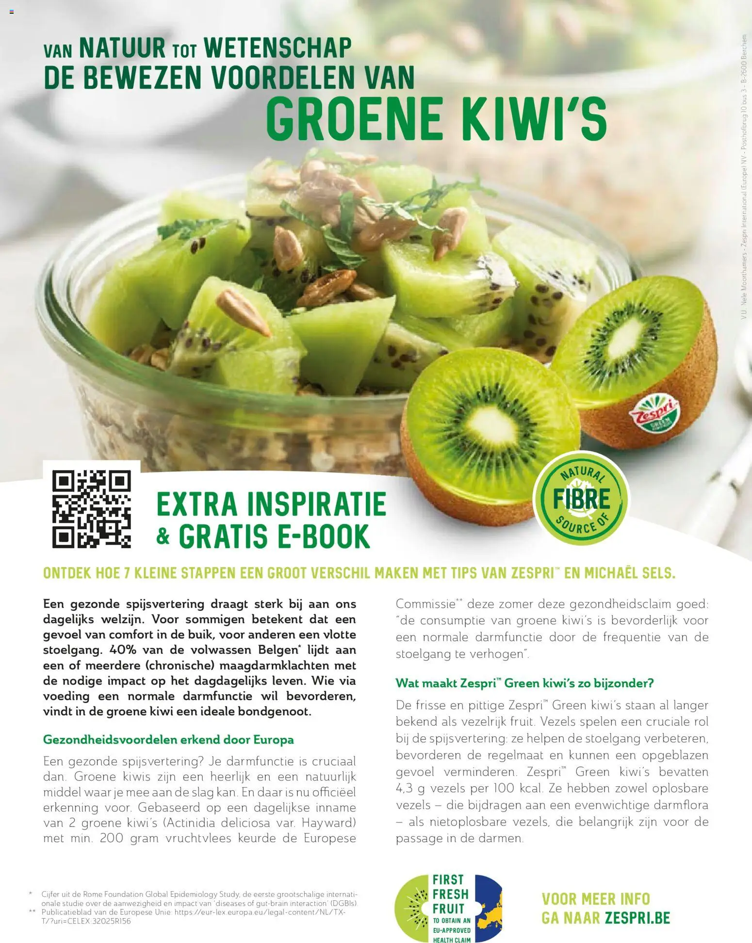 {H1} | Pagina: 16 | Producten: Kiwi, Fruit, Kiwi's, Foundation