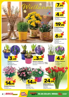 Pogląd oferty "Brico Marché gazetka" - ważna od 25.03.2026 | Strona: 4 | Produkty: Goździk, Doniczki