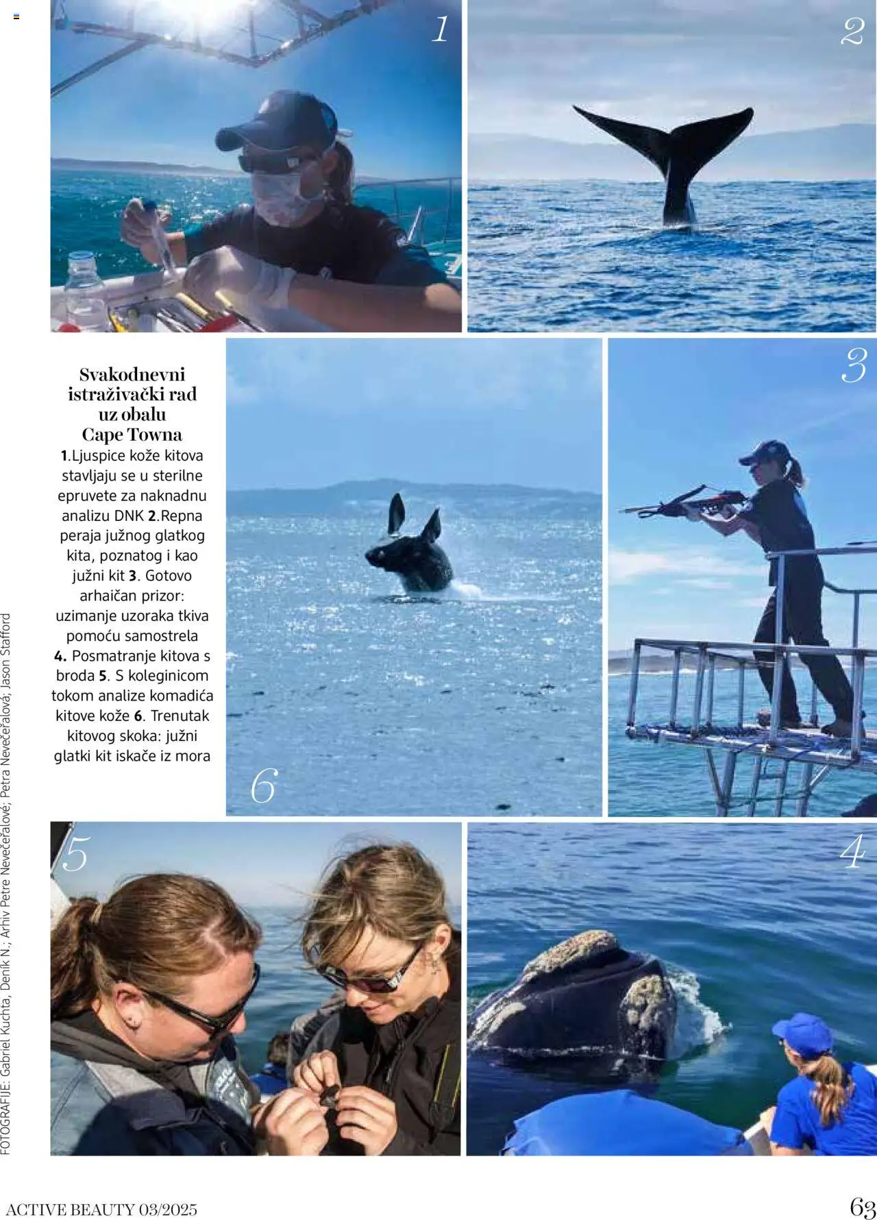 DM Drogerie katalog - važi od 05.08.2025 | Strana: 63